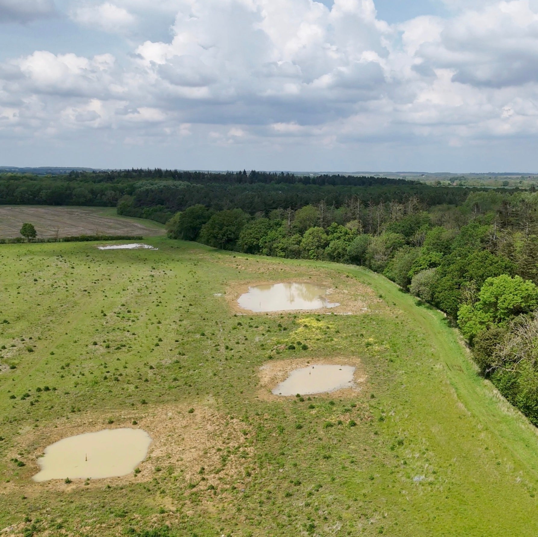 green land