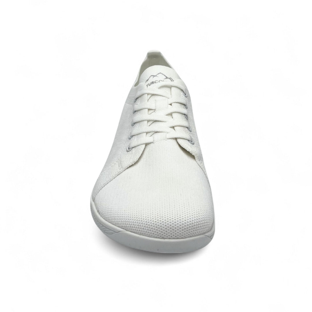 White sneaker on a white background front view