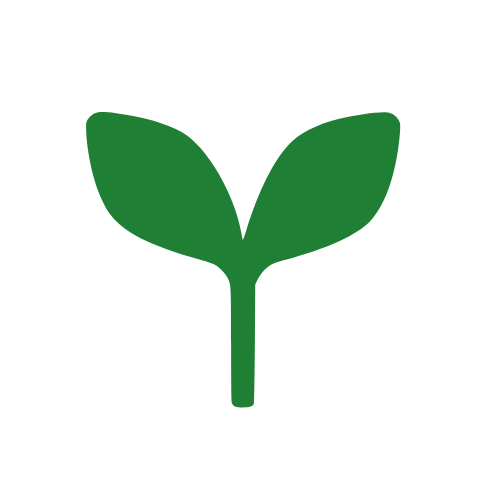 Green icon of a plant sprout on a white background